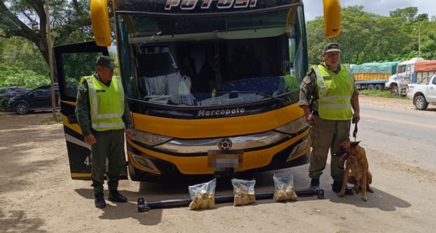 Gendarmería incautó 10 kilos de cocaína ocultos en una lanza metálica
