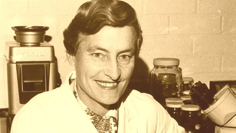 El incremento de la acuicultura en embalses de Brasil amenaza la biodiversidad del R&iacute;o Paran&aacute;