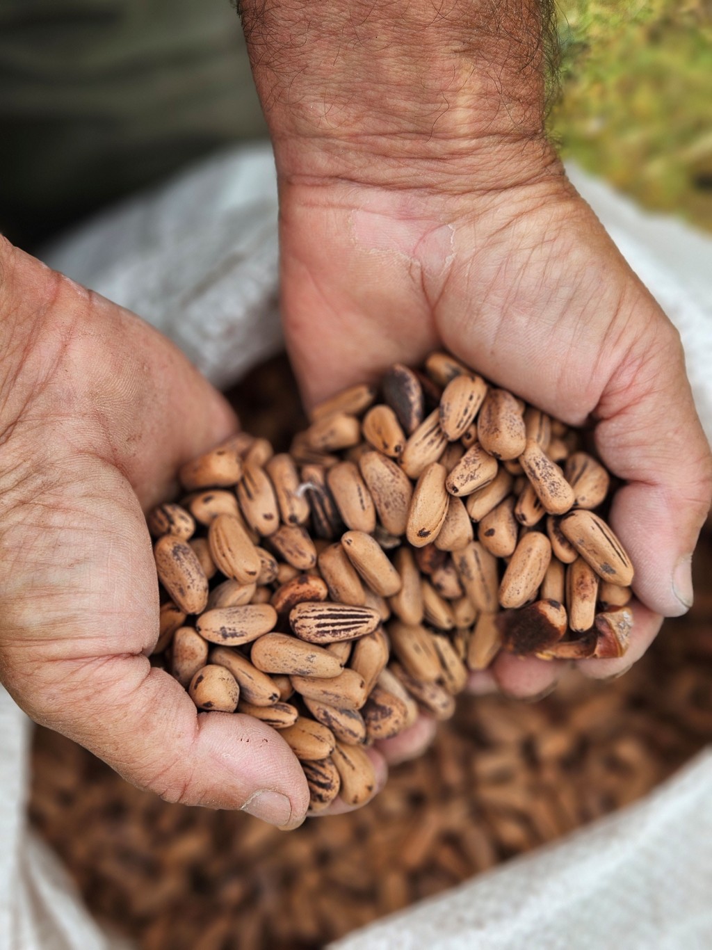Axel Kicillof anunció el programa Desendeudadas para las mujeres bonaerenses