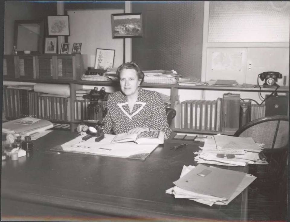 Convocatoria de Becas 2021 y pr&oacute;rrogas