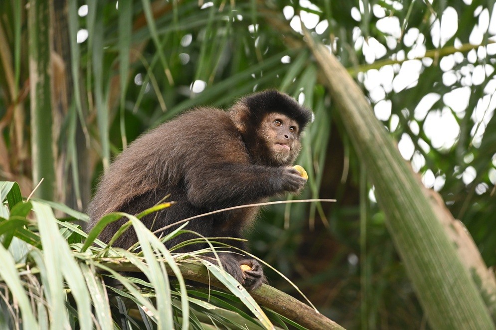  Louisa Aldrich-Blake, la cirujana que rompi&oacute; las barreras del quir&oacute;fano