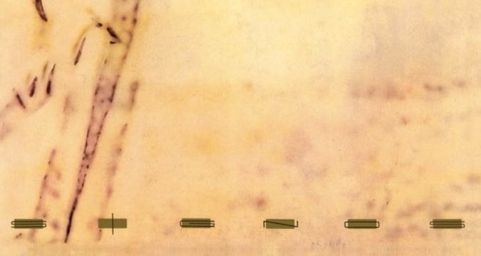 1987: los 3 discos argentinos que revolucionaron el sonido de una generaci&oacute;n, seg&uacute;n la IA