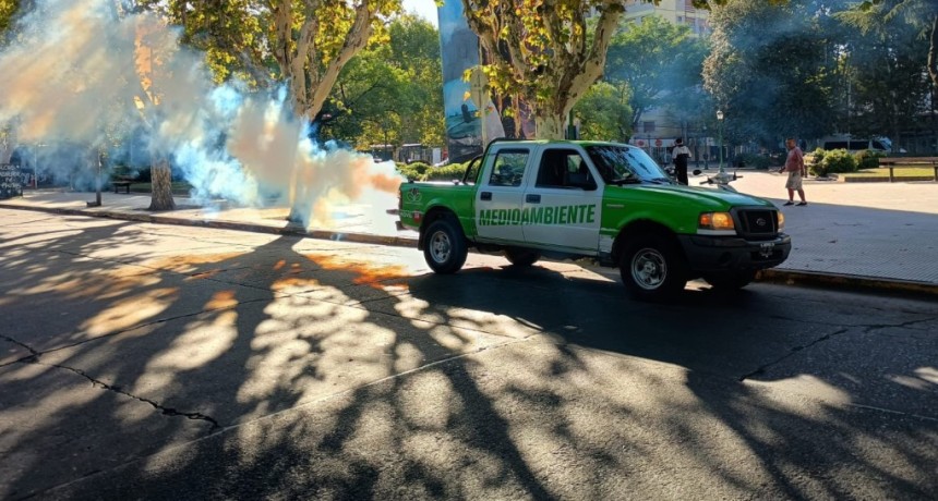 Avanza la fumigaci&oacute;n contra el dengue en Esteban Echeverr&iacute;a: refuerzan operativos en barrios y espacios p&uacute;blicos