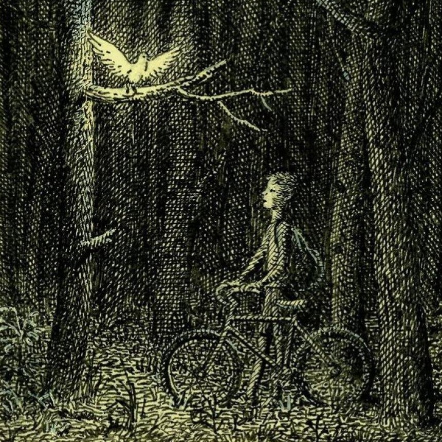 Hab&iacute;a una vez un bosque?