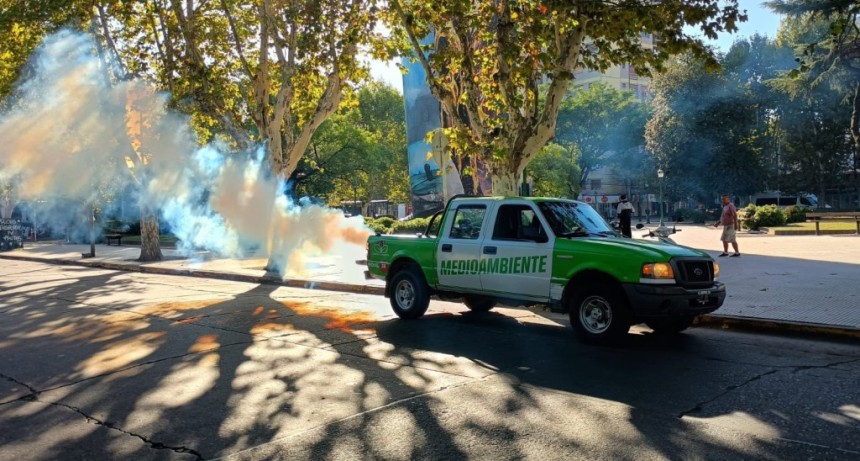 Avanza la fumigaci&oacute;n contra el dengue en Esteban Echeverr&iacute;a: refuerzan operativos en barrios y espacios p&uacute;blicos