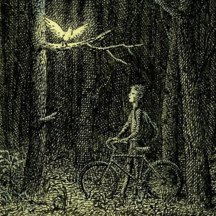 Hab&iacute;a una vez un bosque&hellip;