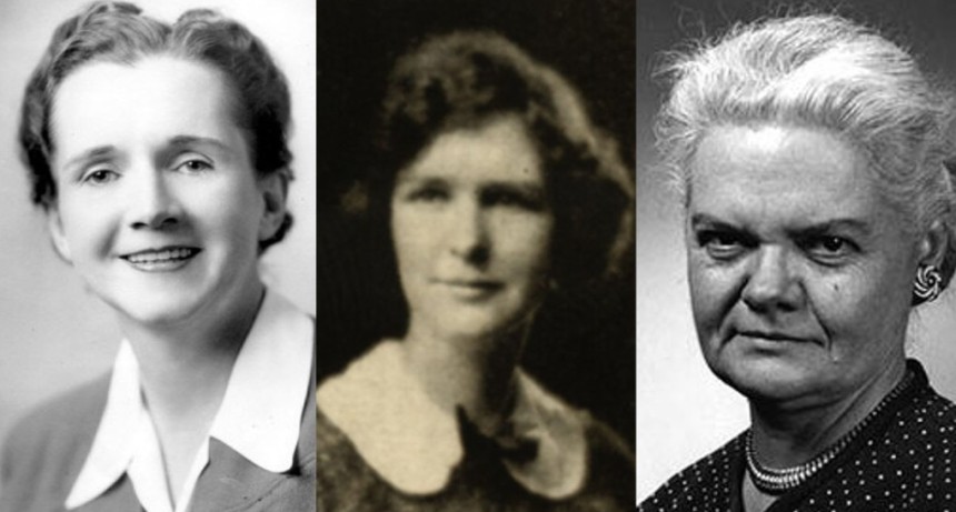  Lucille Farrier Stickel, la toxic&oacute;loga que descubri&oacute; c&oacute;mo el DDT mataba a las &aacute;guilas