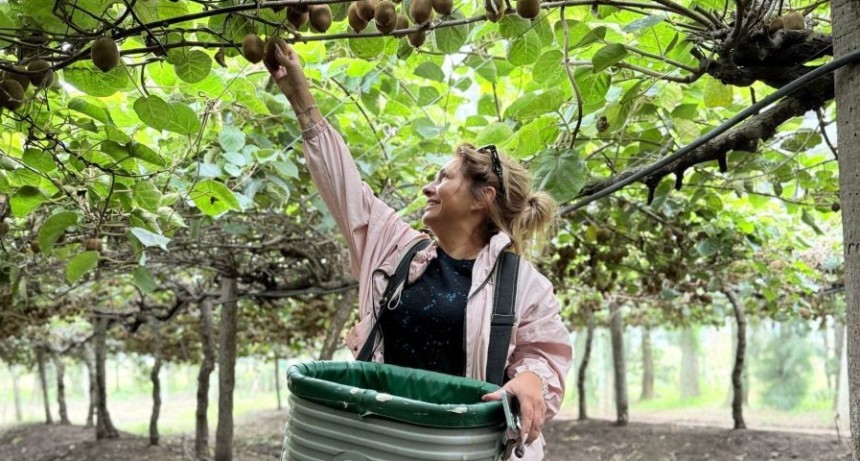  El Kiwal de Saladillo, la historia de una idea