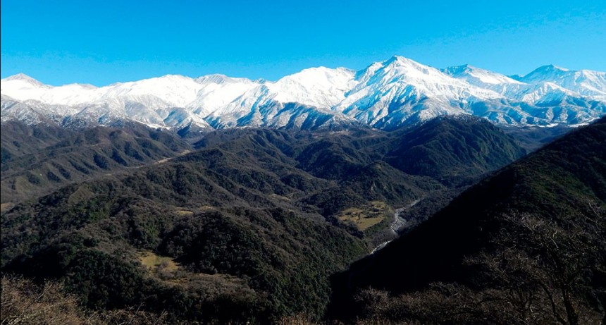 Bosques andinos como grandes sumideros de carbono