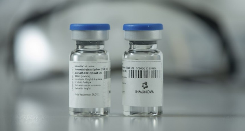La Provincia de Buenos Aires participa de la vigilancia del tratamiento con suero equino hiperinmune en personas con covid-19