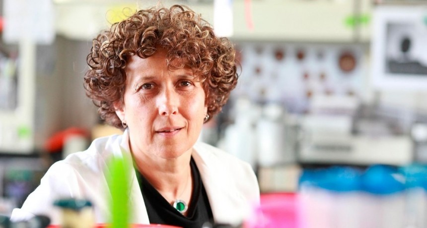 Andrea Gamarnik fue incorporada a la Academia Estadounidense de las Artes y las Ciencias