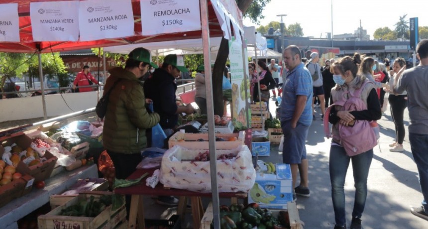 Morón y el Mercado Central acercan frutas y hortalizas a precios populares