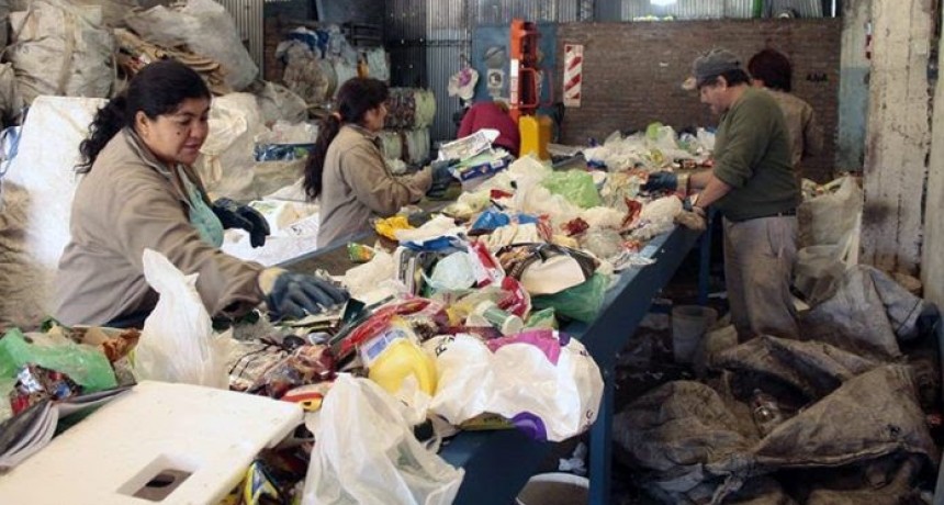 En Chaco 1.035 cooperativas y 60 mutuales emplean trabajadores con diversidad en producción y servicios