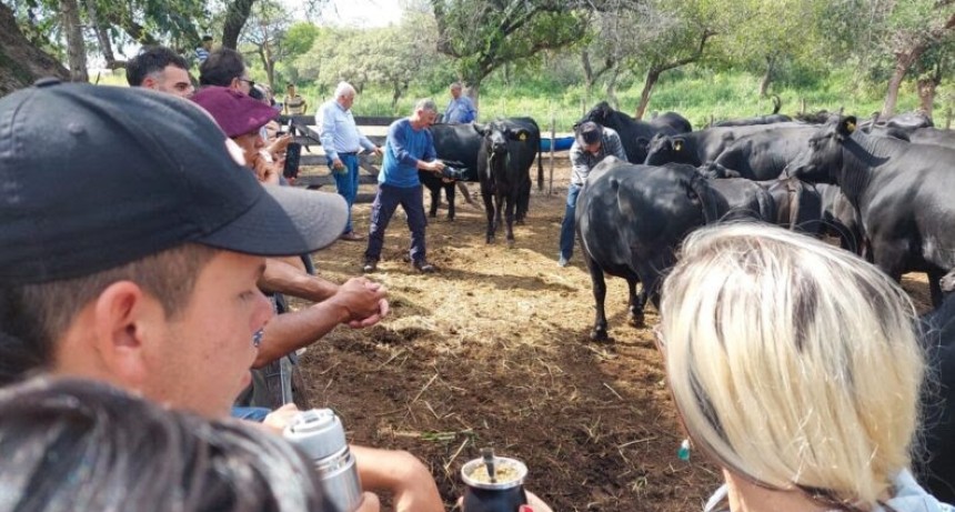 En Córdoba, una cooperativa puso en marcha la producción del revolucionario forraje verde hidropónico