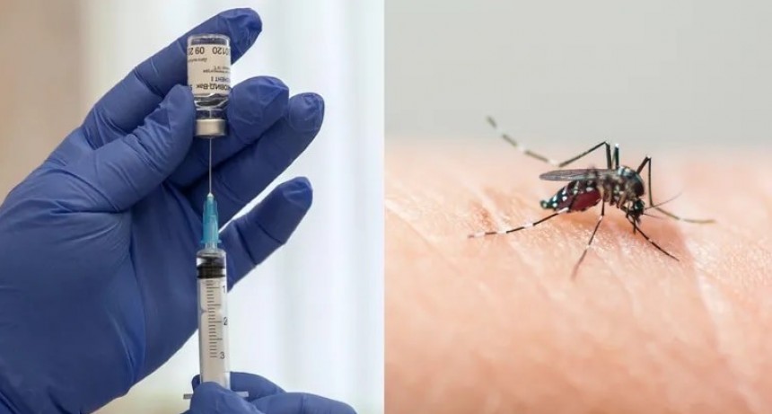 La ANMAT aprobó el uso de la vacuna del laboratorio Takeda contra el dengue