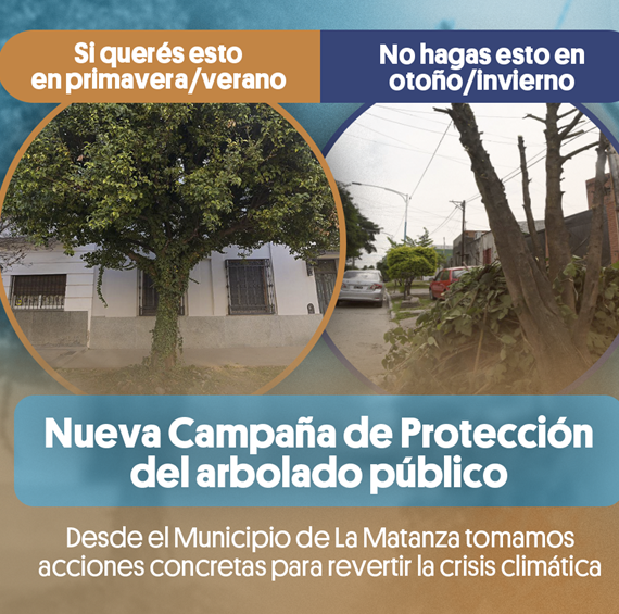 Lanzan campaña para proteger arbolado público en La Matanza: Compromiso con el medio ambiente