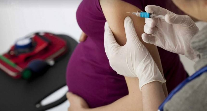 Comienza la aplicación gratuita de la nueva vacuna obligatoria para embarazadas en Quilmes