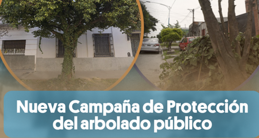Lanzan campaña para proteger arbolado público en La Matanza: Compromiso con el medio ambiente