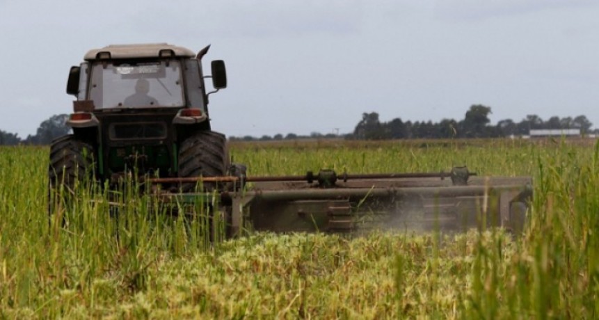 La Provincia lanza nuevas medidas para el sector agropecuario