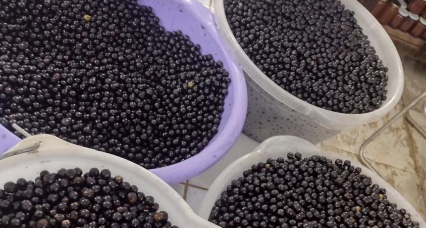 Sabores que cuentan historias: Misiones celebra su patrimonio gastronómico