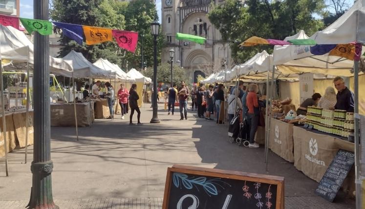 Sabe la Tierra: d&oacute;nde estar&aacute; la feria esta semana en Buenos Aires