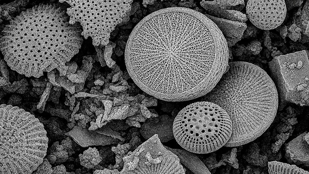 Equipo del CONICET desarrolla un dispositivo de uso dom&eacute;stico para remover micro y nanopl&aacute;sticos del agua