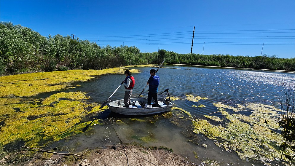 Canteras abandonadas: estudian sus caracter&iacute;sticas para evaluar su posible aprovechamiento para la siembra de pejerreyes