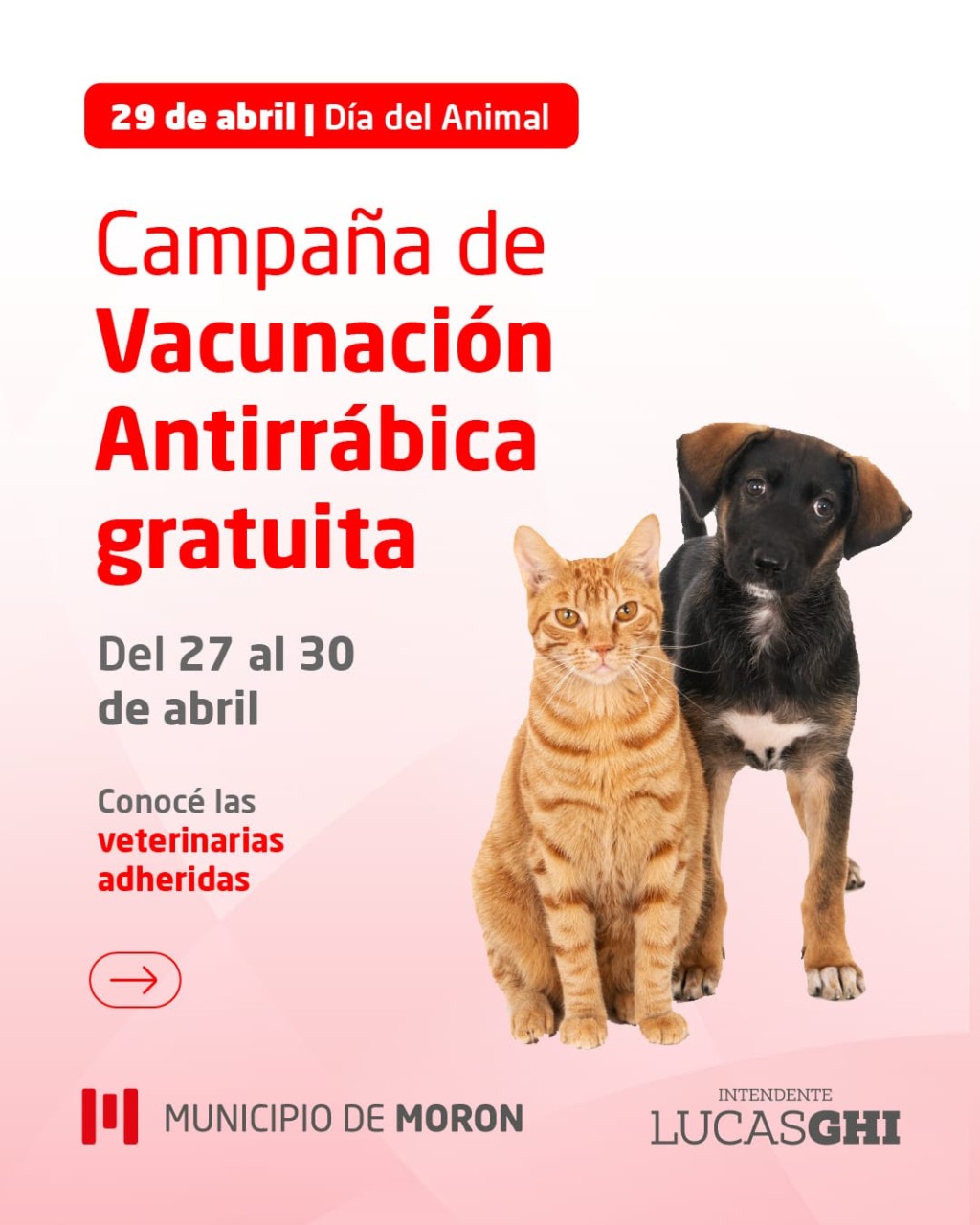 Vacunaci&oacute;n gratuita por el D&iacute;a del Animal: d&oacute;nde y cu&aacute;ndo pod&eacute;s proteger a tu mascota en Mor&oacute;n