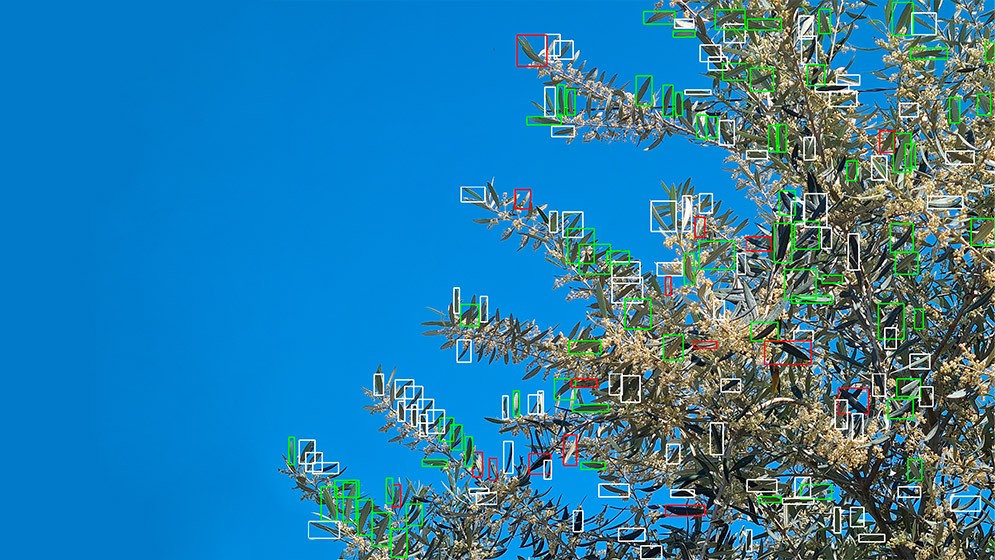 Un cient&iacute;fico del CONICET dise&ntilde;&oacute; un robot &uacute;nico que permite controlar plagas a trav&eacute;s de IA