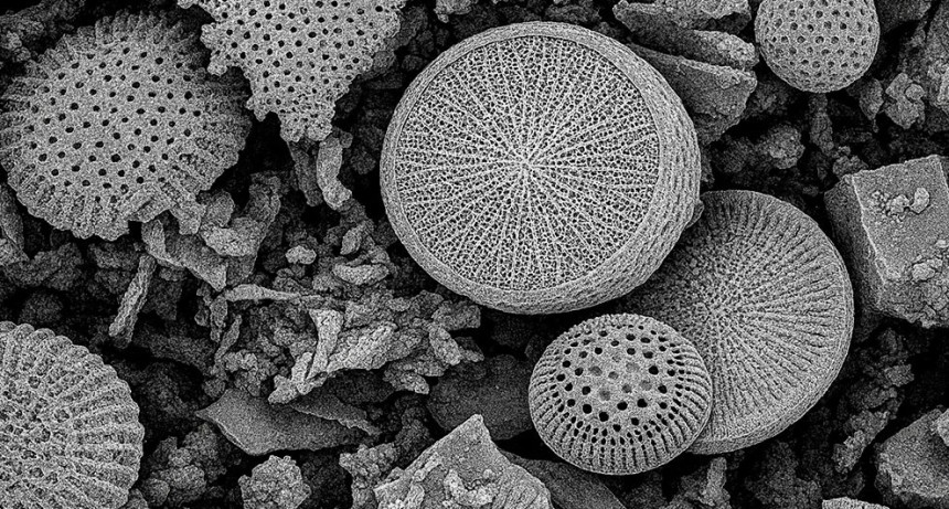 Equipo del CONICET desarrolla un dispositivo de uso dom&eacute;stico para remover micro y nanopl&aacute;sticos del agua