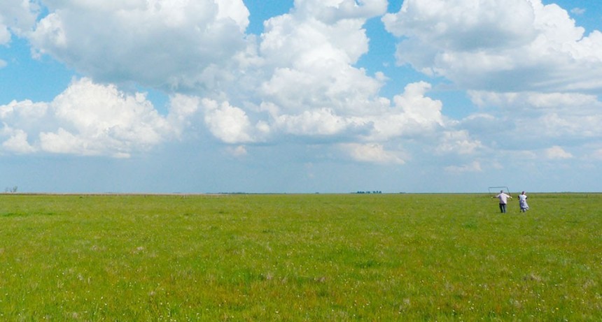 Cient&iacute;ficos del CONICET eval&uacute;an estrategias para mejorar la productividad de los pastizales sin amenazar la biodiversidad