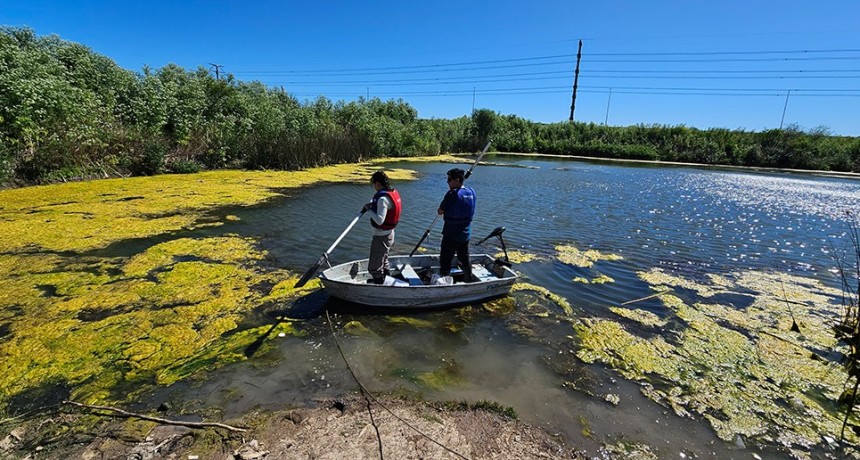 Canteras abandonadas: estudian sus caracter&iacute;sticas para evaluar su posible aprovechamiento para la siembra de pejerreyes