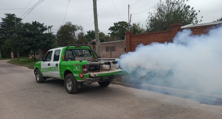 Fumigaciones en marcha: los barrios donde el Municipio refuerza la prevenci&oacute;n contra el dengue