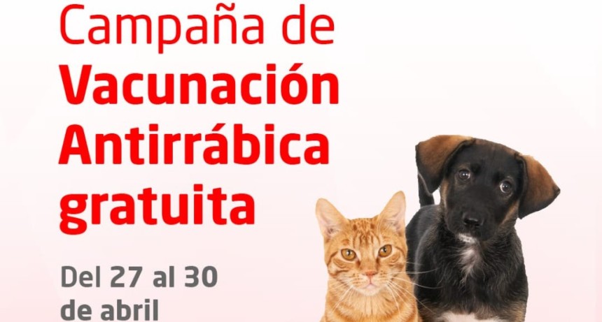 Vacunaci&oacute;n gratuita por el D&iacute;a del Animal: d&oacute;nde y cu&aacute;ndo pod&eacute;s proteger a tu mascota en Mor&oacute;n