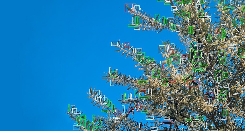 Un cient&iacute;fico del CONICET dise&ntilde;&oacute; un robot &uacute;nico que permite controlar plagas a trav&eacute;s de IA