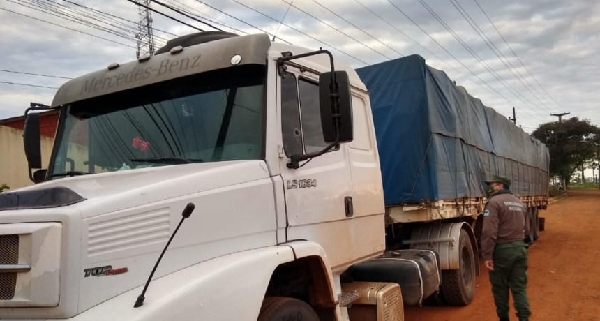Contrabando de granos: la Gendarmería decomisó 35 toneladas de soja y maíz en Corrientes