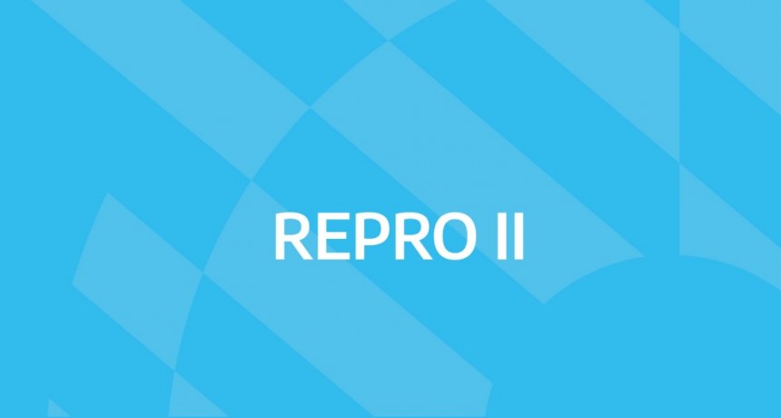 Ampliación del REPRO 2 y del Programa de asistencia al trabajo independiente para mitigar los efectos de la segunda ola de COVID-19