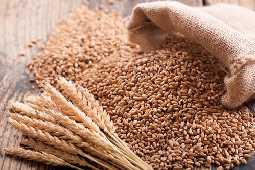 Fideicomiso del trigo: el sector molinero manifestó su voluntad de adhesión y de continuar con la mesa de trabajo