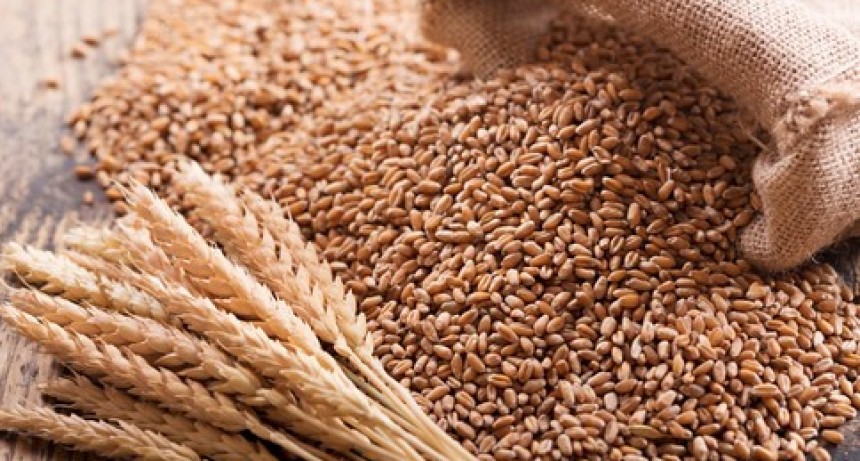 Fideicomiso del trigo: el sector molinero manifestó su voluntad de adhesión y de continuar con la mesa de trabajo