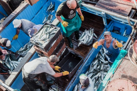 Alivio fiscal para trabajadores y trabajadoras de la pesca