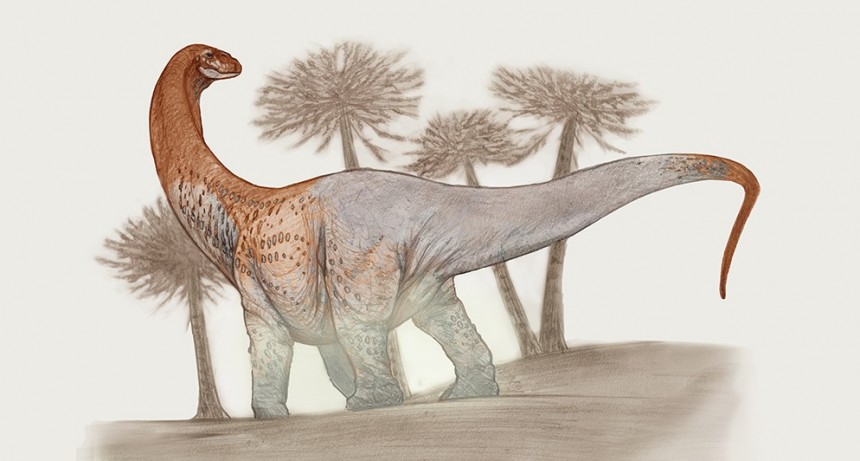 Encuentran en Río Negro un dinosaurio gigante de 90 millones de años