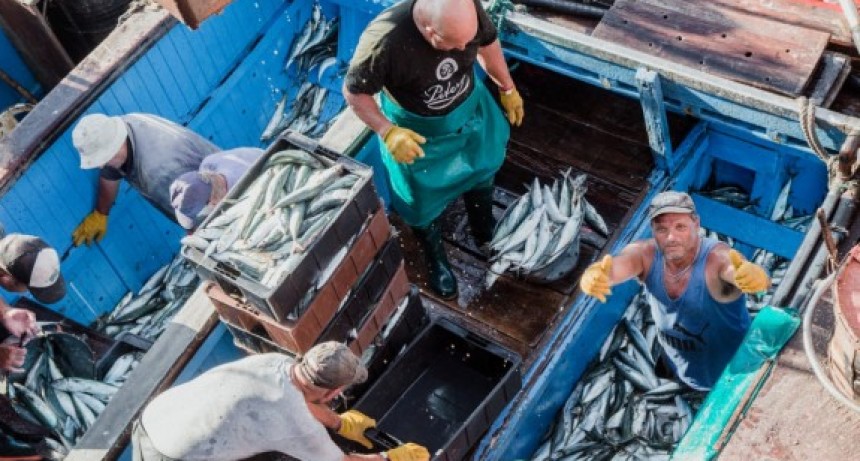 Alivio fiscal para trabajadores y trabajadoras de la pesca