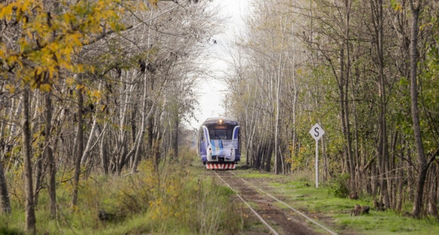 Se puso en marcha el tren turístico Mercedes-Tomás Jofré