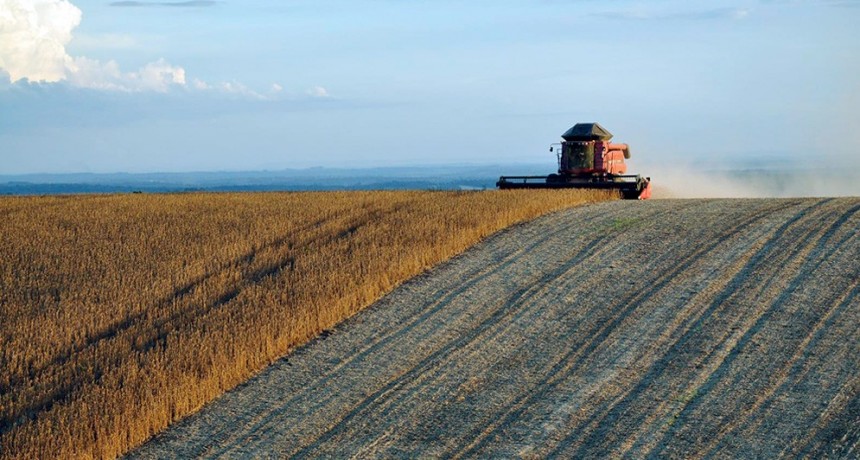 Estudio internacional señala que las estrategias de diversificación agrícola generan mayores beneficios sociales y ambientales