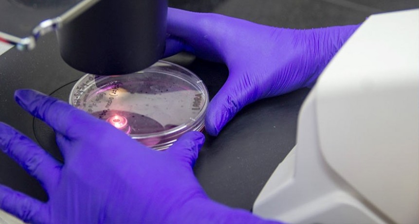 Patentan una nueva molécula para combatir el Parkinson