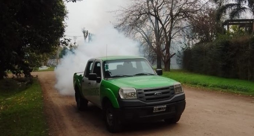 Trabajos de Fumigación en Luis Guillón