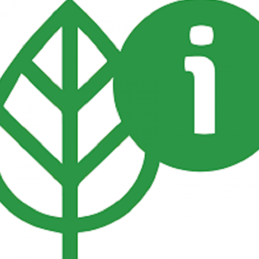 Noticias con Enfoque lanza ECO INFO. Un nuevo espacio para la sustentabilidad y la ecología