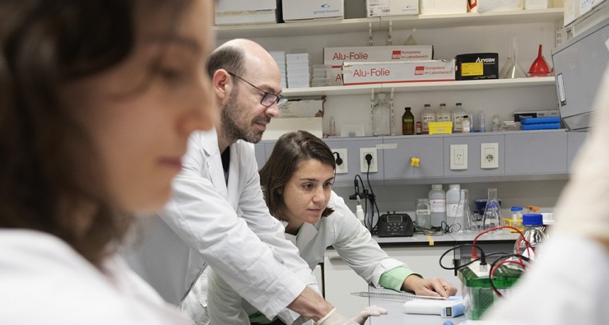 Especialistas del CONICET identifican una molécula que regula la respuesta al estrés