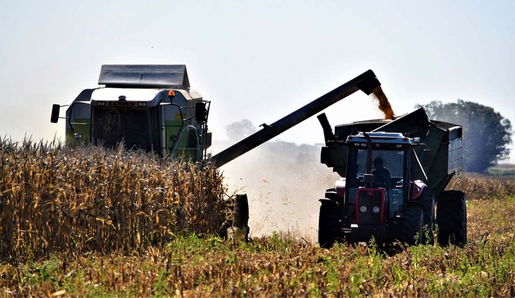 Alerta en el campo: productores al borde de la crisis y cerealeras frenan la liquidación
