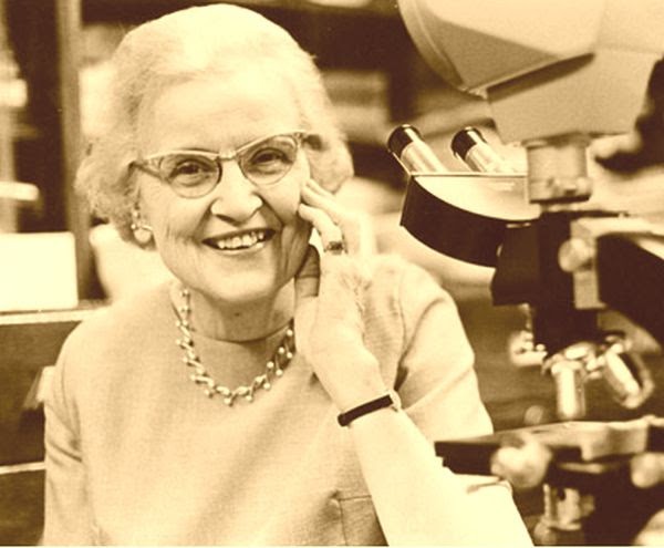  Helen Battle, pionera en biología marina y embriología